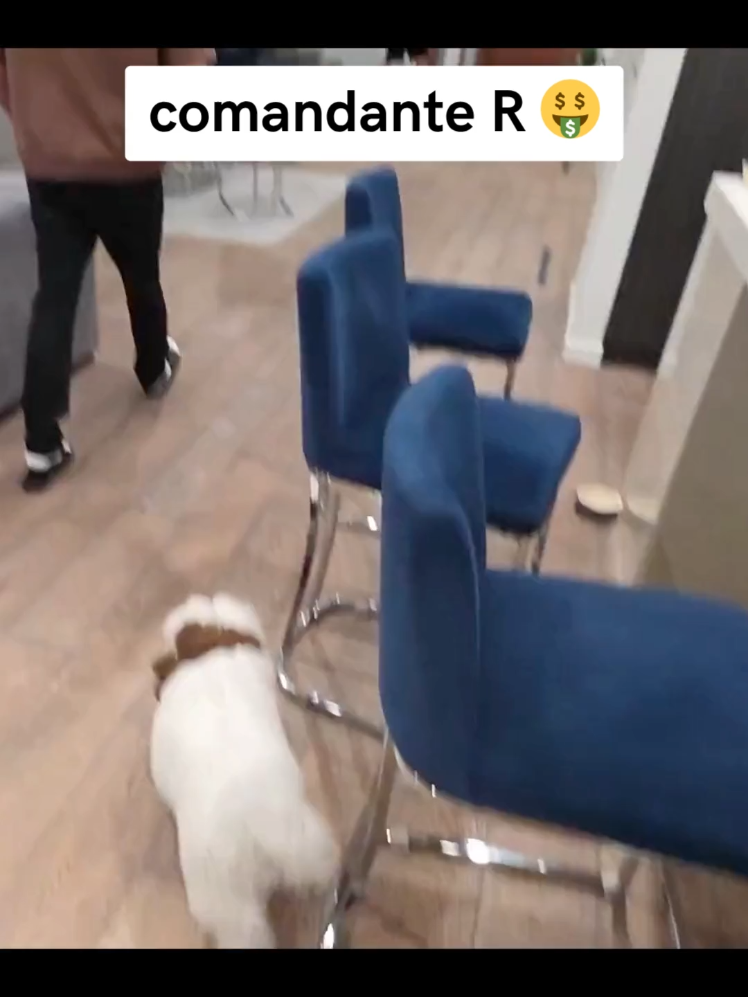 #lonche #willito #kick