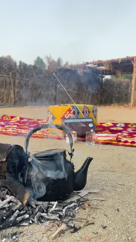 لا توصيني على حفظ السراير وانت غالي .. #محمد_المقحم  #تصويري📸 