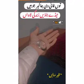 توں فانی دی جاگیر  جو ہیں تیڈے ناؤیں زندگی لاواں #mulair_sain_47 