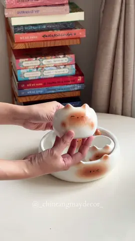 Ai bảo chỉ trẻ con mới mê mèo – người lớn cũng đổ gục trước sự xinh xẻo này 🥰 #cocsu #batsu #diahoaqua #gomsu #dodecor