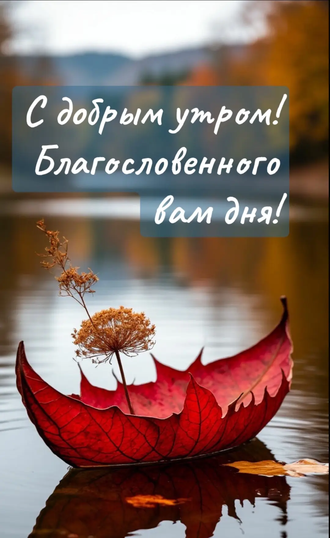 #сдобрымутром#благословенноговамдня#