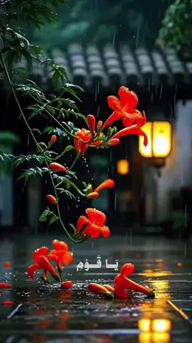 يا قوم إنما هذه الحياة متاع #قران_كريم #قران #قرآن #المنشاوي #quran  @Amira Ali 