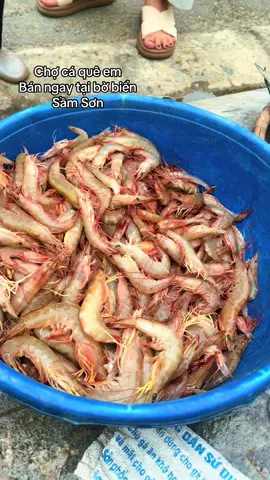Chợ cá quê em#CapCut #samson #haisansamson #hoanguyen 