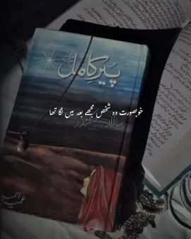 Salar Sikander ❤️  #imamahashim #novelisticgirl📚 #salarsikander #novels #peerekamil 