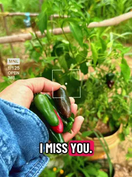 #todo el tiempo te extraño 😔 