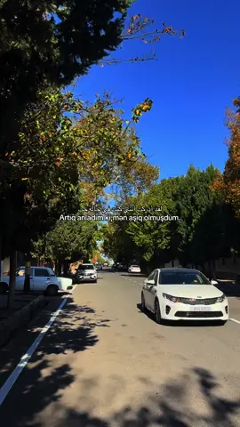 #kesfet #حب #quran 