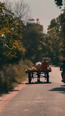 #foryoupage #viraltiktok #viralvideo #viral #villagelife 