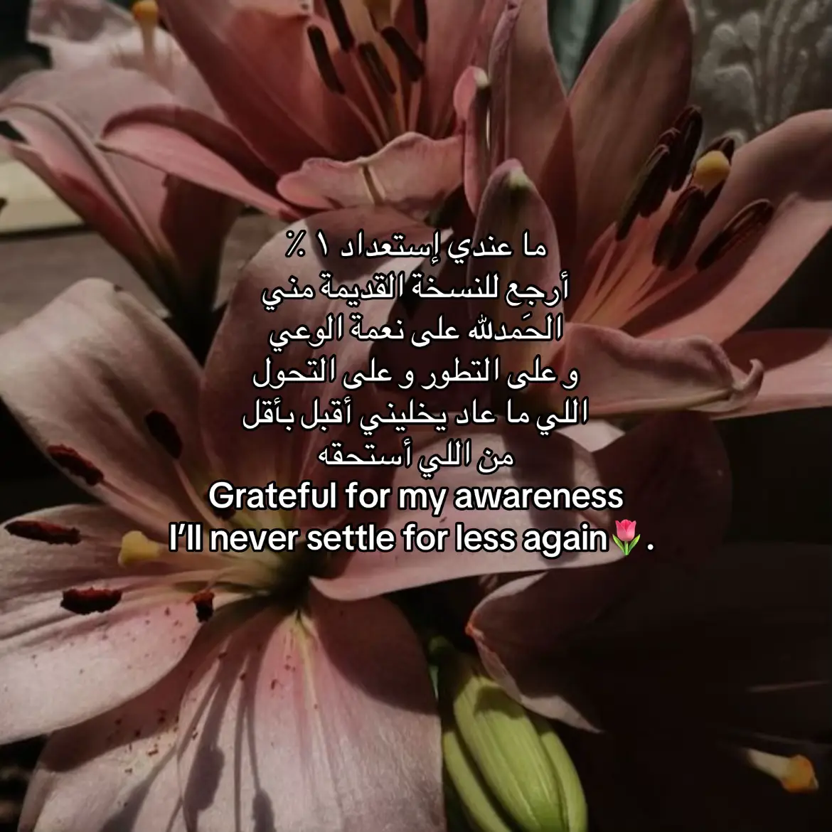 #explore #fyp #tiktok 