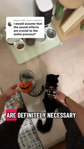 Replying to @Ms. Lacy 