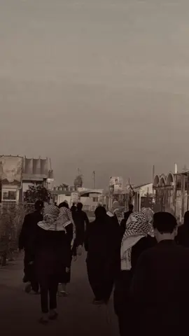 #فاكد_عزاز⚰️ #فاكد اربعينية سجاد اخونه