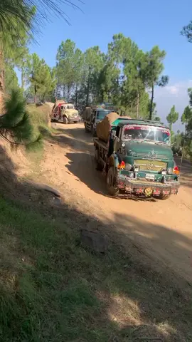 #foryoupage #foryoupage 