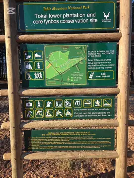 lets get the fitness in shape again☺️ lower tokai walking trail #foryoupage #fyp #walking #Fitness #capetownsouthafrica 