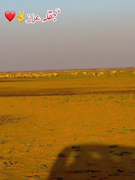 #مليون_مشاهدة❤ #هواوير_العز✊ #اكسبلور_↪explore_لايك💟_فولو✅_كومنت #جقله_الخير_جقله_العز❤ 