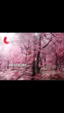 Tây Phương Đào đúng Đào lun 😂#xuhuong #thuylongngam #水龙吟 #trandao #lavanhi 