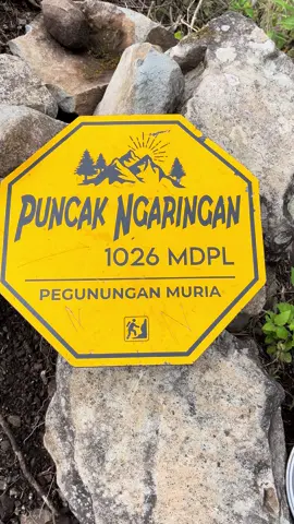 fomo#fomo #mendakigunung #puncakngaringan #muria #pegununganmuria 