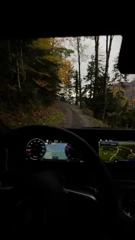 #swiss #autumn #fyp #snow #fall 