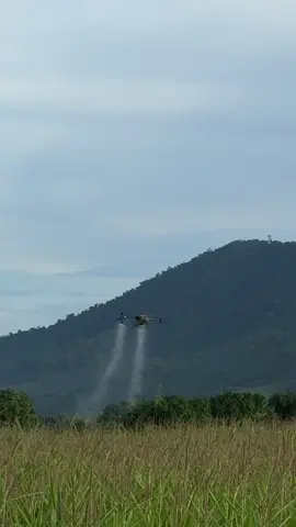 មិនមែន1ha 25000ទេ😁#ដ្រូនបាញ់ចំការ #ដ្រូនកសិកម្ម 