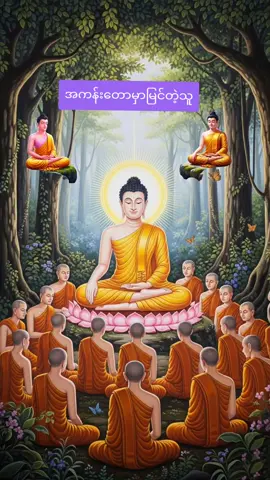 သစ္စာရွှေစည်ဆရာတော်#အကန်းတောမှာမြင်တဲ့သူ#တရားတော်များ #တရားတော်များနာယူနိုင်ပါစေ🙏 