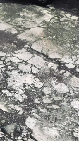 knalpot bluetooth#vario125 