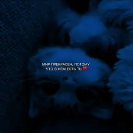 #отправь #видеостекстом #щитпост #отметь #ты 