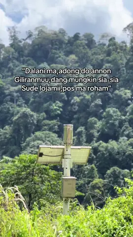 Dalani mjlo💪#viraltiktok #fyp #hlkhitabatak #lagubatak #👋👋 