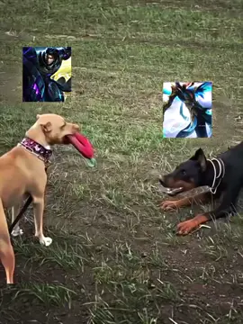 #mobilelegends #alucard #🤫🤫🤫🤫🤫🤫 #