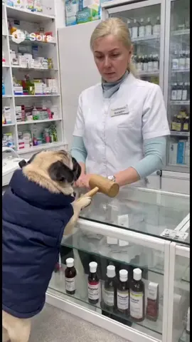 трек в тгк #глеруз 