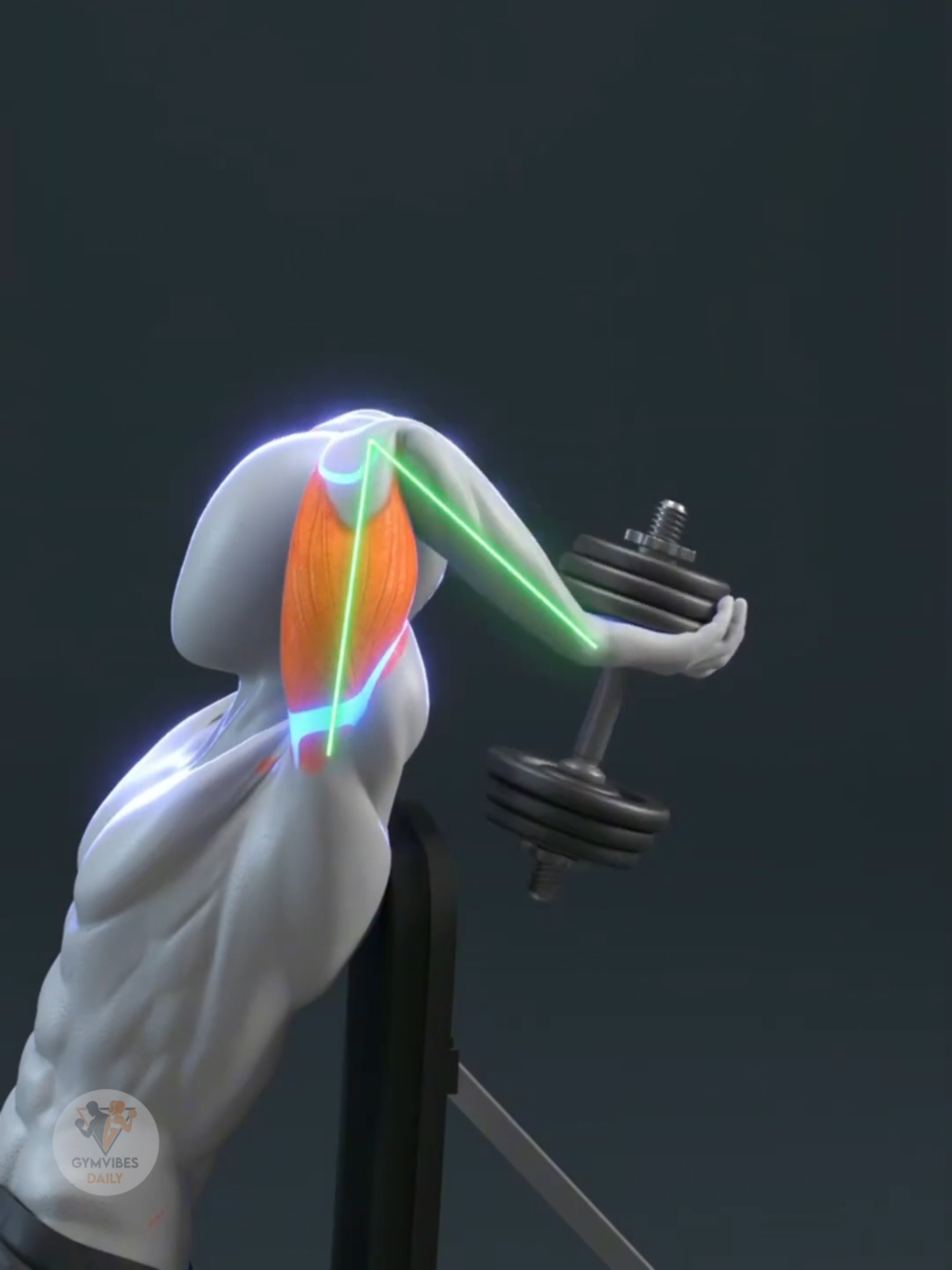 Think You’re Training Triceps Right? 😳 Watch This Before Your Next Arm Day 💪🔥 Big arms = big triceps 💪 But most people press, they don’t activate 🔥 Here’s how to actually hit all 3 tricep heads for real growth 👊 #TricepsWorkout #ArmDay #PushDay #UpperBodyTraining #StrengthTraining #Bodybuilding #FitTok #WorkoutReels #GymMotivation #MuscleBuilding #FormCheck #GymVibesDaily #DailyGrind 💾 Save this before your next arm workout! 💬 Comment “TRICEPS” if you’re training push today 💪 👯 Tag your gym bro who skips triceps after chest 😂