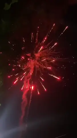 49 tháp đôi  #xuhuong #vietnam #tet #phaohoa 