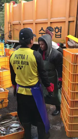 කෝටි ගානක් එකපාර විසිකරනවා🥹😞#tiktok #foryou #foryoupage #viral #fishinglife 