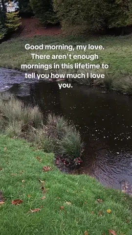 Good morning, my love. There aren’t enough mornings in this lifetime to tell you how much I love you.