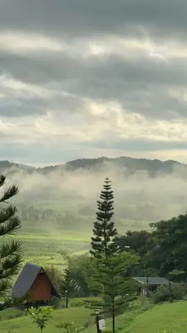 ชอบมากกก🫶🏻🌳⛰️#แคมป์ปิ้ง #ด่านช้างสุพรรณบุรี #ภูเขา #สุพรรณบุรี #กางเต็นท์ 
