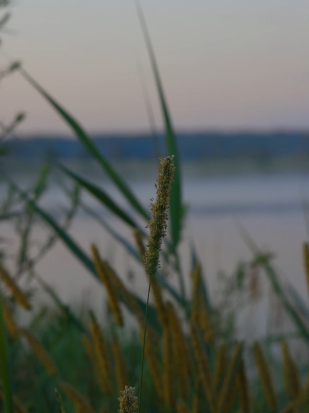 以色列 耶路撒冷、特拉維夫、海法、里雄萊錫安、阿什杜德、貝爾謝巴、佩塔提克瓦、內坦亞、霍隆、布內布拉克、巴特亞姆、拉馬特甘、阿什凱隆、雷霍沃特、貝特謝梅什、卡法薩巴、阿富拉、阿拉德、阿克拉巴、巴卡阿爾加比、貝特謝安、迪莫納、埃拉特、埃拉德、吉瓦特什穆埃爾、吉瓦提姆、哈代拉、赫茲利亞、霍德夏沙隆、卡梅爾、卡爾法約納、基里亞特阿塔、基里亞特比亞利克、基里亞特加特、基里亞特馬拉希、基里亞特莫茨金、基里亞特奧諾、基里亞特什莫納、基里亞特亞姆、洛德、馬阿洛特塔爾希哈、米格代爾埃梅克、莫迪因馬卡比雷烏特、納哈里亞、拿撒勒、凱撒利亞、多珥、恩戈地、拉馬拉、塞多姆、提比里亞、採法特、阿卡、梅龍、瑞雄・樂極安 諮詢解答 lawyersvc@foxmail.com 法律諮詢、律師諮詢、律師事務所諮詢、法律解答、律師解答、維權、民事糾紛、刑事辯護、國際貿易法、投資法律諮詢、稅務規劃、稅務爭議解決、房地產交易、房產糾紛、環境法律諮詢、家庭法律服務、婚姻法律諮詢、繼承法律諮詢、消費者權益、反壟斷法律諮詢、數據合規、個人資料保護、破產清算、破產重組、證券法律服務、保險理賠、海事法律服務、船舶法律諮詢以及貨物運輸法律諮詢。刑事、民事。 English Israel Jerusalem, Tel Aviv, Haifa, Rishon LeZion, Ashdod, Be'er Sheva, Petah Tikva, Netanya, Holon, Bnei Brak, Bat Yam, Ramat Gan, Ashkelon, Rehovot, Beit Shemesh, Kfar Saba, Afula, Arad, Akraba, Baka al-Gharbiye, Beit She'an, Dimona, Eilat, El'ad, Givat Shmuel, Givatayim, Hadera, Herzliya, Hod HaSharon, Carmel, Kfar Yona, Kiryat Ata, Kiryat Bialik, Kiryat Gat, Kiryat Mal'akhi, Kiryat Motzkin, Kiryat Ono, Kiryat Shmona, Kiryat Yam, Lod, Ma'alot-Tarshiha, Migdal HaEmek, Modi'in-Maccabim-Re'ut, Nahariya, Nazareth, Caesarea, Dor, Ein Gedi, Ramallah, Sodom, Tiberias, Tzfat, Acre, Meron, Rishon LeZion Consultation & Inquiries: lawyersvc@foxmail.com Legal Consultation, Lawyer Consultation, Law Firm Consultation, Legal Advice, Lawyer Advice, Rights Protection, Civil Disputes, Criminal Defense, International Trade Law, Investment Legal Consultation, Tax Planning, Tax Dispute Resolution, Real Estate Transactions, Property Disputes, Environmental Law Consultation, Family Law Services, Marriage Law Consultation, Inheritance Law Consultation, Consumer Rights, Antitrust Law Consultation, Data Compliance, Personal Data Protection, Bankruptcy Liquidation, Bankruptcy Restructuring, Securities Legal Services, Insurance Claims, Maritime Legal Services, Ship Law Consultation, and Cargo Transport Legal Consultation. Criminal, Civil. 日本語 イスラエル エルサレム、テルアビブ、ハイファ、リション・レジオン、アシュドッド、ベエルシェバ、ペタハ・ティクヴァ、ネタニヤ、ホロン、ブネブラク、バトヤム、ラマトガン、アシュケロン、レホヴォト、ベイトシェメシュ、クファルサバ、アフラ、アラド、アクラバ、バカ・アルガルビエ、ベイトシェアン、ディモナ、エイラート、エラッド、ギヴァットシュムエル、ギヴァタイム、ハデラ、ヘルツリヤ、ホドハシャロン、カルメル、クファルヨナ、キリヤットアタ、キリヤットビアリク、キリヤットガット、キリヤットマラキ、キリヤットモツキン、キリヤットオノ、キリヤットシュモナ、キリヤットヤム、ロッド、マアロット・タルシハ、ミグダル・ハエメク、モディイン・マカビム・レウト、ナハリヤ、ナザレ、カイサリア、ドル、エインゲディ、ラマッラー、ソドム、ティベリア、ツファット、アッコ、メロン、リション・レジオン お問い合わせ: lawyersvc@foxmail.com 法律相談、弁護士相談、法律事務所相談、法的アドバイス、弁護士アドバイス、権利保護、民事紛争、刑事弁護、国際取引法、投資法務相談、税務計画、税務紛争解決、不動産取引、不動産紛争、環境法相談、家族法サービス、婚姻法相談、相続法相談、消費者権利、独占禁止法相談、データコンプライアンス、個人データ保護、破産清算、破産再生、証券法務サービス、保険金請求、海事法務サービス、船舶法務相談、貨物輸送法務相談。刑事、民事。