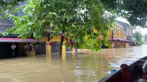 Một chút yêu thương mùa lũ🫶#phocohoian2025 #lulutmientrung2025 #binhan#CapCut 