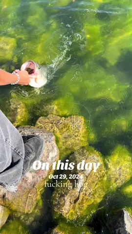 i wan go fishing:( #onthisday 