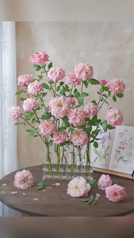 Nàng nào yêu hoá học chắc hợp concept này lắm nè 🧪☺️  Tui thì không giỏi hoá, nhưng cũng đang “phản ứng mạnh” trước mấy bông hoa xinh này đây 🩷  #hanhtrinhcamhoa #xuhuong #flowersoftiktok #hoadepmoingay #decor