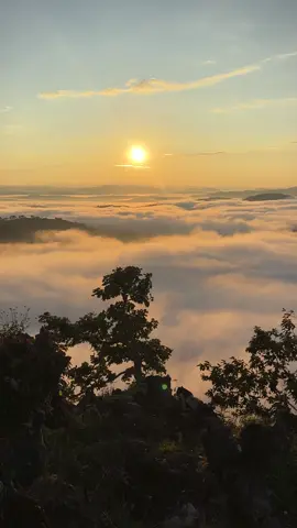 တစ်မြို့လုံး တစ်ရပ်ကွက်လုံး တိမ်လေးတွေနဲ့ဖုံးလို့ လှနေရောဗျာ 🥰 #တိမ်ပင်လယ်  #kalaw  #foryoupage  #ရောက်ချင်တဲ့နေရာရောက်👌  #အားပေးကြပါအုံးဗျာ😍😍😍😍 