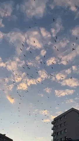 𝒩𝑒𝓎𝓈𝑒𝓁𝑒𝓇 𝓋𝑒𝑒 𝓀𝑒𝓈̧𝓀𝑒𝓁𝑒𝓇...🍂 #kesfett #kesfetbeniöneçıkart 