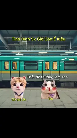 #memes #funny #haihuoc #catmeme #cat