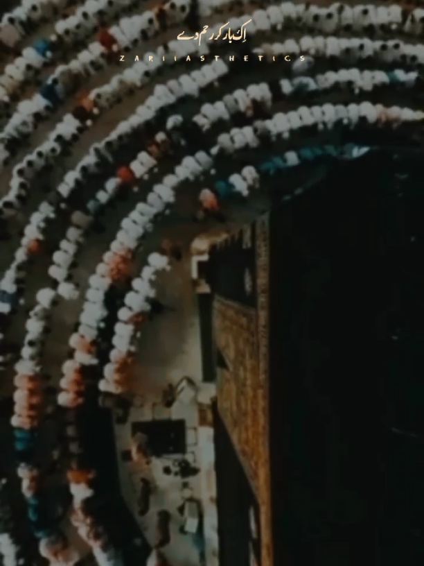 🥺🥺تیرے کُن کی بات مولا  . . . . . #foryoupage #explore #zariiasthetics #viral #zariiasthetics 