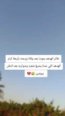 #هشتقاتي_اترند_المشهور #ممكن_لايك_ومتابعه 