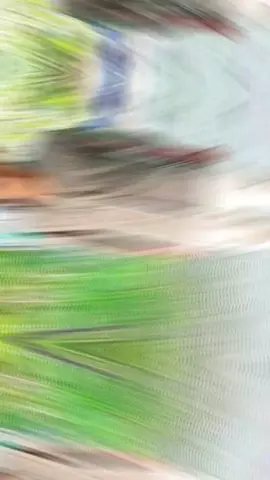 অর্থহীন পুরুষতো কবিতা আর গল্পতেই গুরুত্ব পায় #soikot #contentcreator #2025 soikot