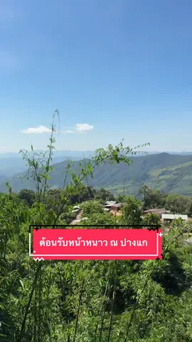 ต้อนรับหน้าหนาว ณ บ้านปางแก  อีกหนึ่งที่น่าเที่ยวอันซีนของน่าน สวย สดชื่น ลมพัดเย็นสบาย #unseennan #ปางแก #มณีพฤกษ์ #เที่ยวน่านหน้าหนาว #CapCut