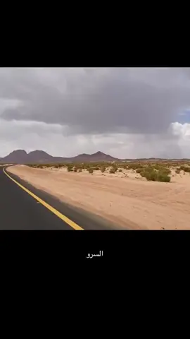 السرو😩❤️‍🔥. يزين ديرتنا🥺🤍 هانت🥹🫶🏻 #السرو #العطويه #السليمات #العامرية #العبدليه 