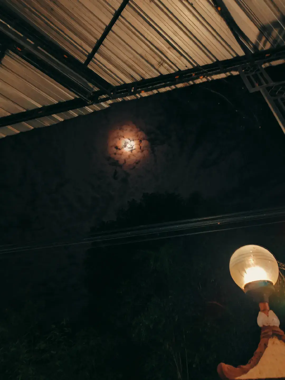 كامل:ربما يكون هذا صحيحًا، فالناس سوف يشعرون بالملل إذا أظهرت الكثير من الحب 