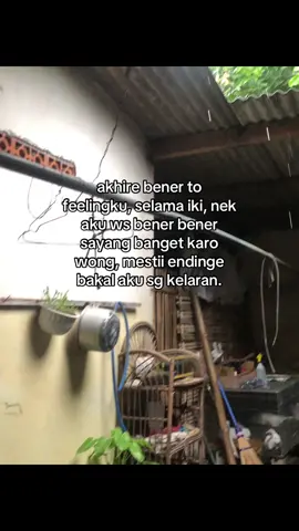 Bener banget gak salah #jowostory #hoohtenan #fypシ 