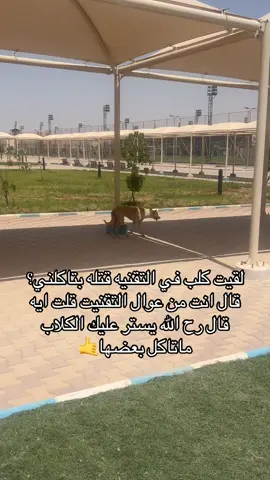 #التقنيه #ديراب #اكسبلور #fyp 