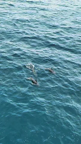 Masih edisi desa labuan barat, matasiri, pulau sembilan kotabaru