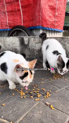 healing terbaik akuu adalah ketemu adek adekk❤️‍🩹🥹