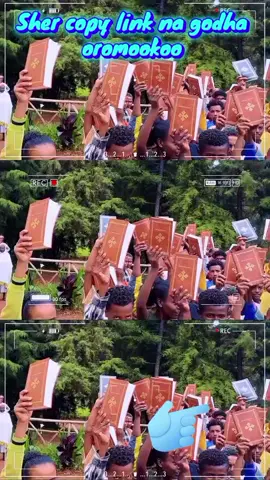 #oromotiktok #ethiopian_tik_tok🇪🇹🇪🇹🇪🇹🇪🇹 #fyppppppppppppppppppppppp #capcut_edit 